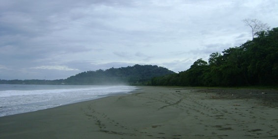 Playa Negra, Puerto Viejo, Costa Rica