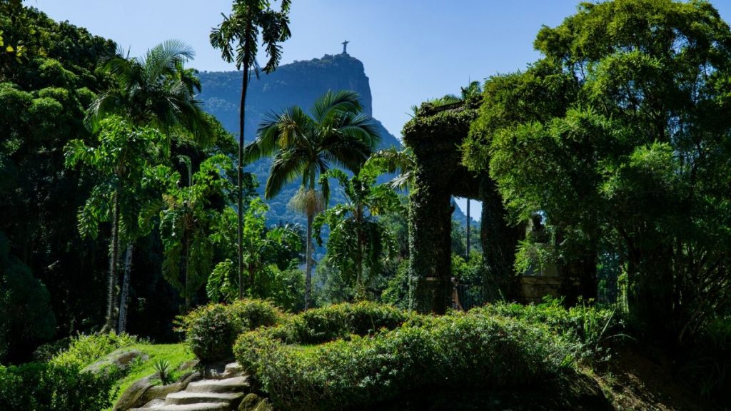 Belo Jardim Botânico - Rio de Janeiro