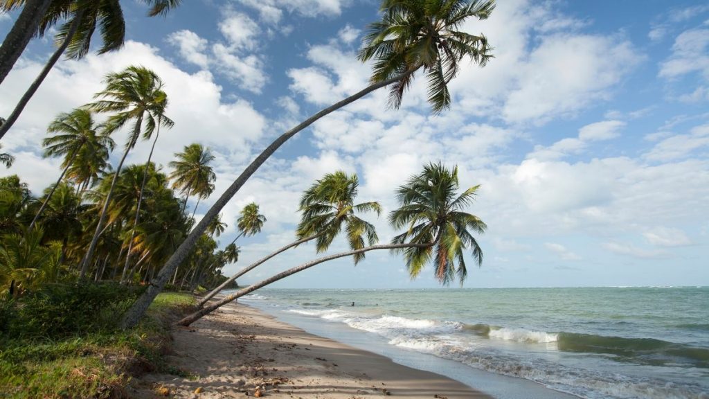 Praia do Patacho - litoral Norte de Alagoas - Costa dos Corais.