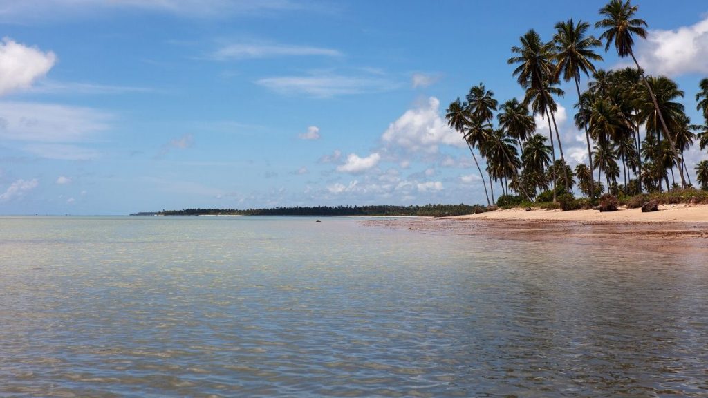 Praia de Patacho é uma das praias mais paradisíacas do nordeste