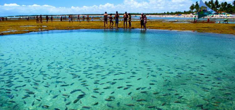 Taipus de Fora, Península de Maraú é uma das praias mais lindas da Bahia-1