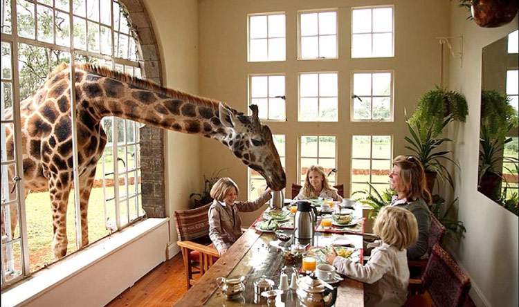 Giraffe Mannor é um dos hotéis de selva