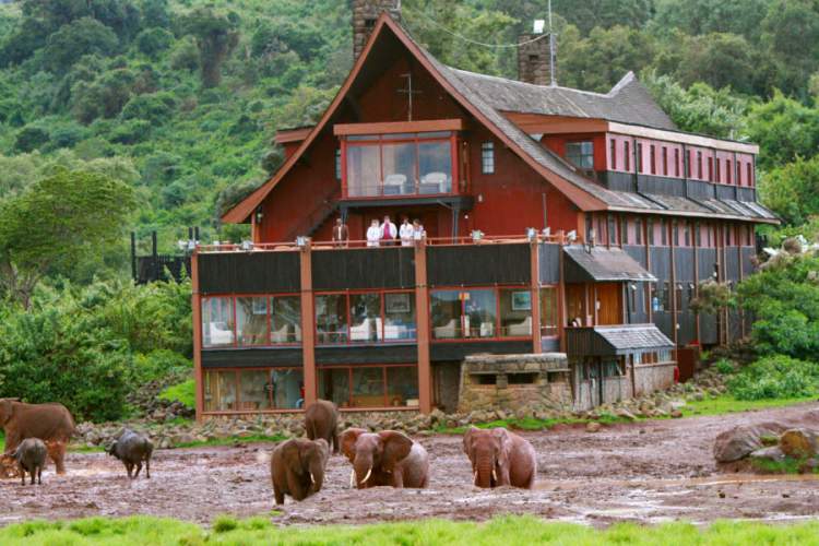 The Ark é um dos hotéis de selva