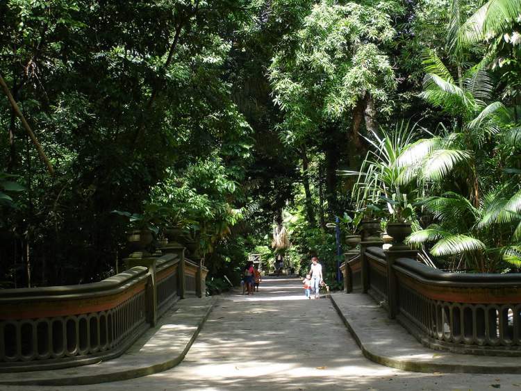 Visitar o Jardim Botânico é uma das opções de o que fazer em Belém