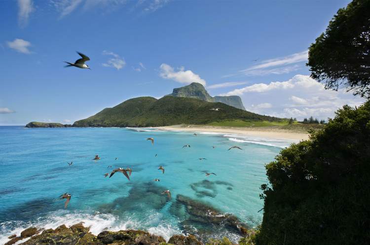 Lord Howe Islands é um dos destinos incríveis ao redor do planeta