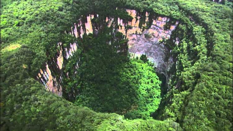 Parque Nacional Jaua Sarisariñama é um dos destinos incríveis ao redor do planeta
