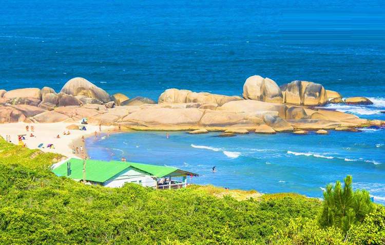 Praia Mole é uma das praias mais paradisíacas de Florianópolis
