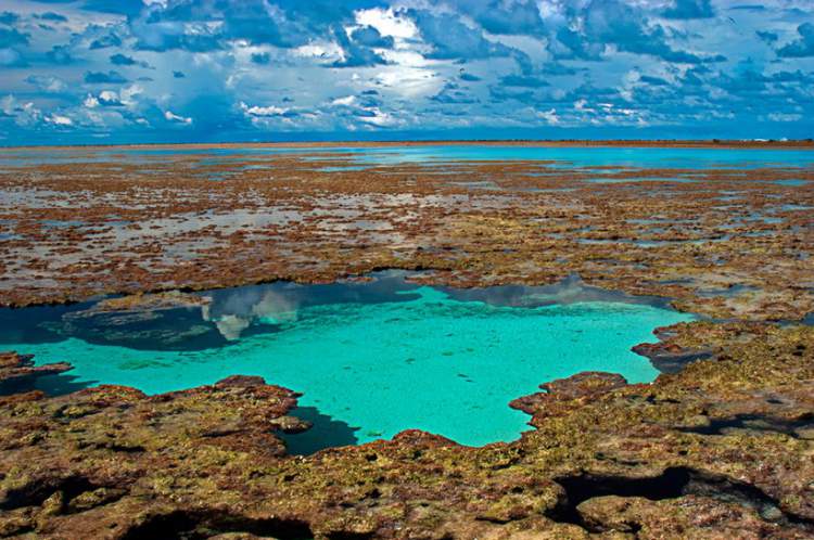 Atol das Rocas é uma das incríveis ilhas brasileiras
