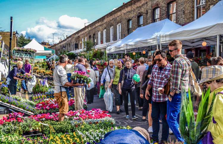 Columbia Road Flower Market é uma das Atrações Gratuitas em Londres