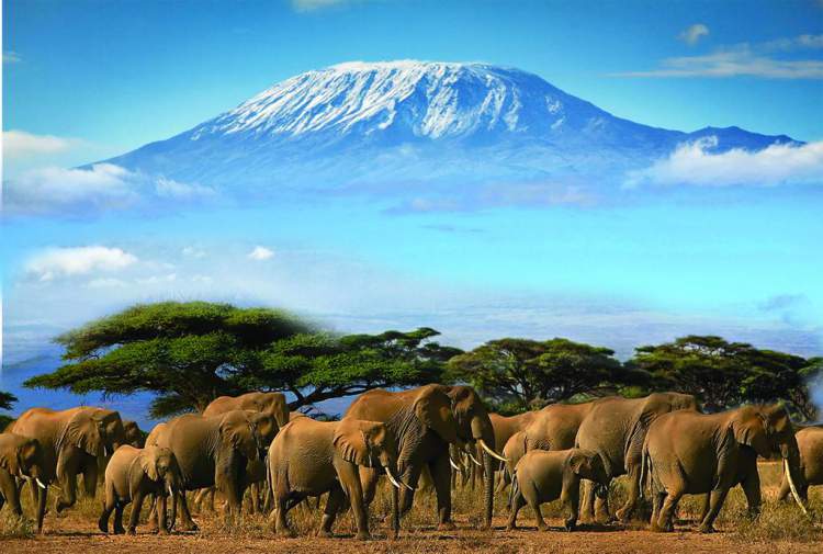 Safári na África na Reserva de Amboseli