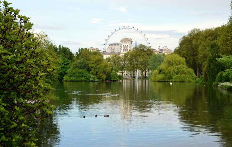 Saint James Park é uma das Atrações Gratuitas em Londres