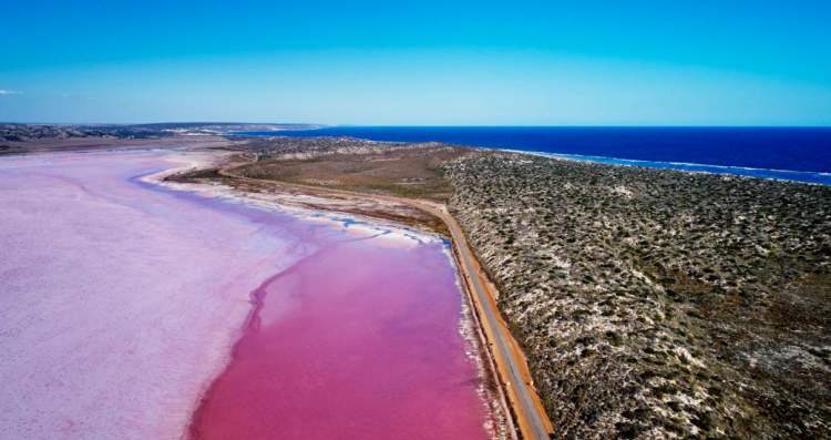 Hutt Lagoon na Austrália é um dos lagos cor de rosa existentes ao redor do planeta