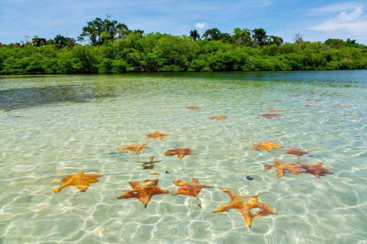 Playa de las Estrellas em Bocas del Toro Panamá