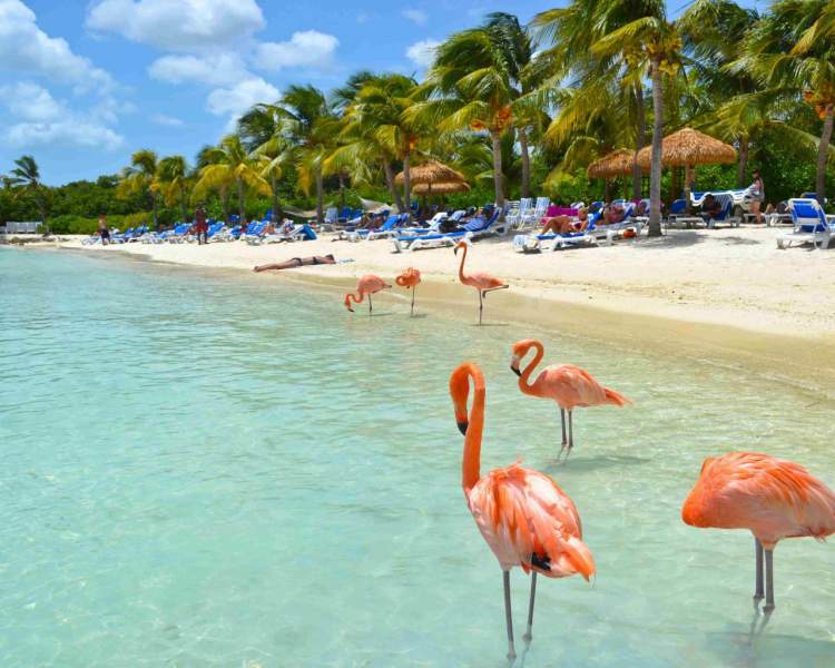 Aruba é um dos destinos baratos para viajar em outubro de 2019