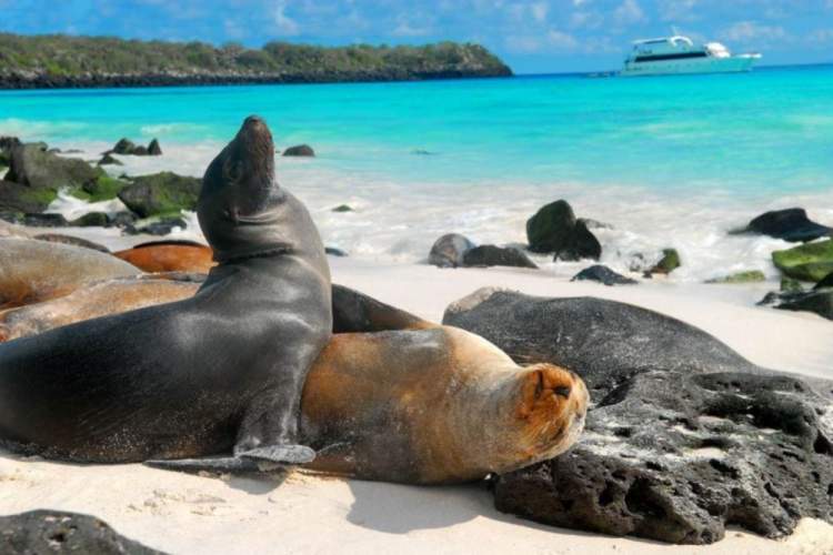 Galápagos é um dos destinos baratos para viajar em outubro de 2019