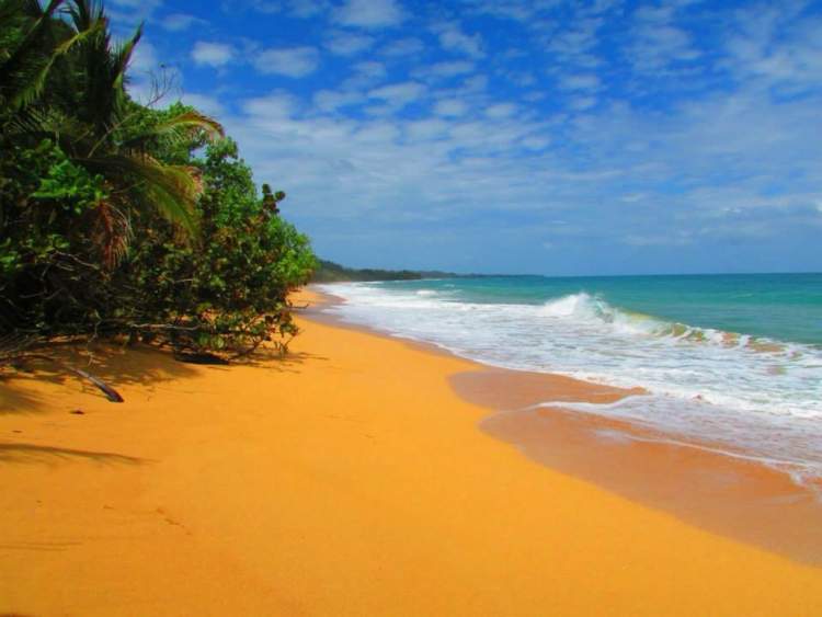 Playa de Boca del Drago é uma das melhores praias do Panamá