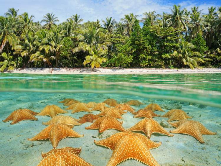 Playa de las Estrellas é uma das melhores praias do Panamá