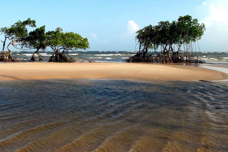 Ilha de Marajó é um dos destinos baratos para viajar no norte do Brasil