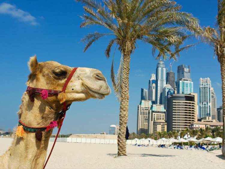Melhor época de ir para Dubai e evitar o verão