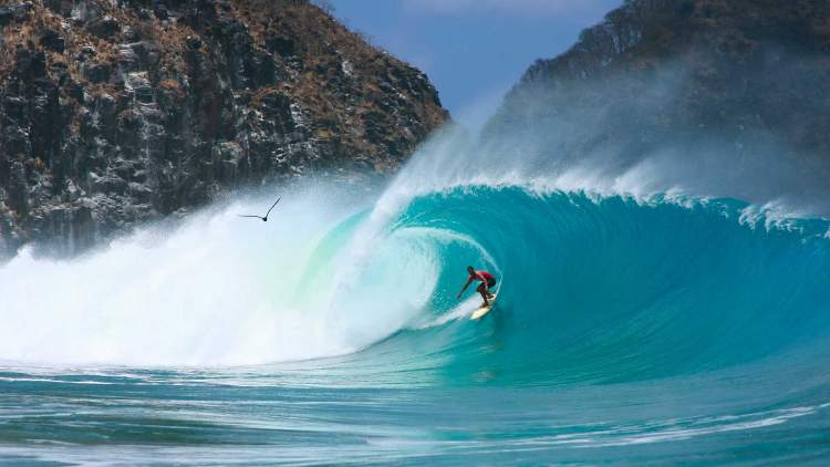Melhor época de ir para Fernando de Noronha surf