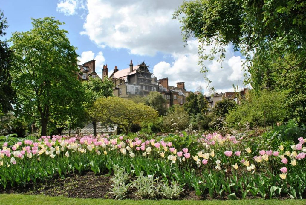 Jardim Chelsea Physic Garden, Londres - Inglaterra