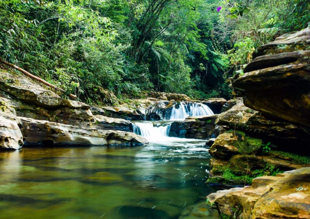 Parque Natural Municipal das Andorinhas em Ouro Preto - Minas Gerais